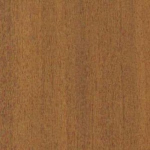 signos de NOGAL AFRICANO para manualidades